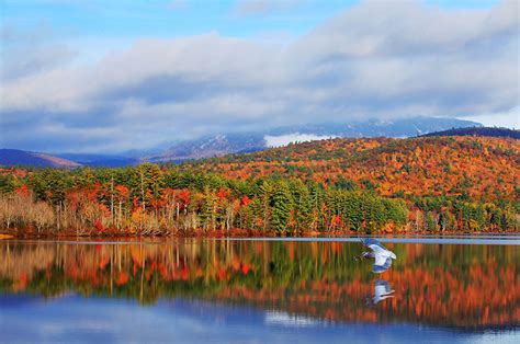 The Science Behind Fall Foliage Starr Tours And Charters