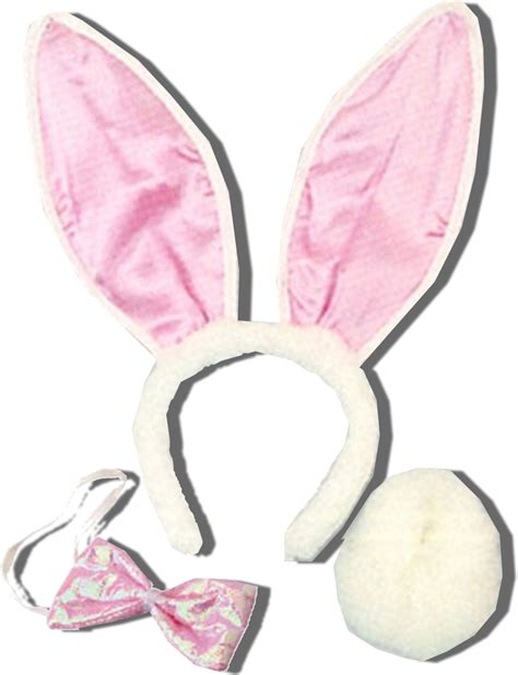 Bunny Ear If You Have A Set Of Bunny Ears That Will Be Fine Png