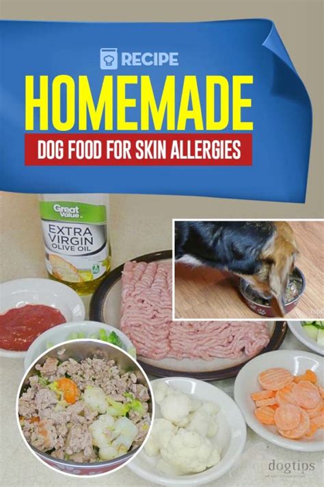 As we'd expect from a high protein canned dog food, there's no grain. Homemade Dog Food Recipe for Skin Allergies