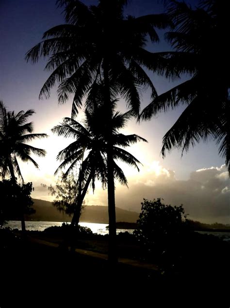 Tropical Guam Free Stock Photo Public Domain Pictures