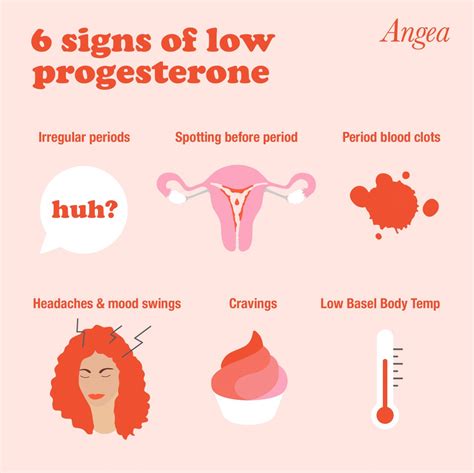 6 Signs Of Low Progesterone Angea