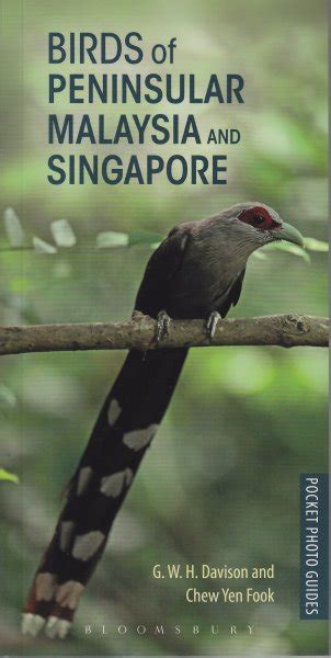 Birds Of Peninsular Malaysia And Singapore Bto British