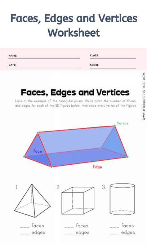 Faces Edges And Vertices Worksheet Worksheets Free