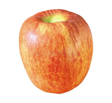 Red Apple Isolated On The White Stock Image Image Of Ripe