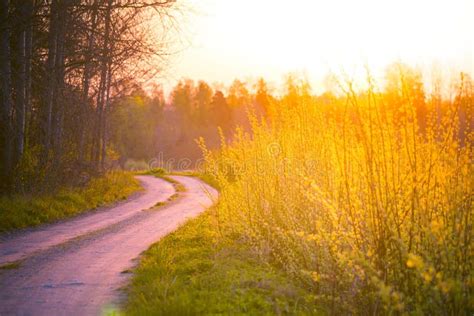 A Beautiful Spring Sunrise Landscape With Road Stock Image Image Of