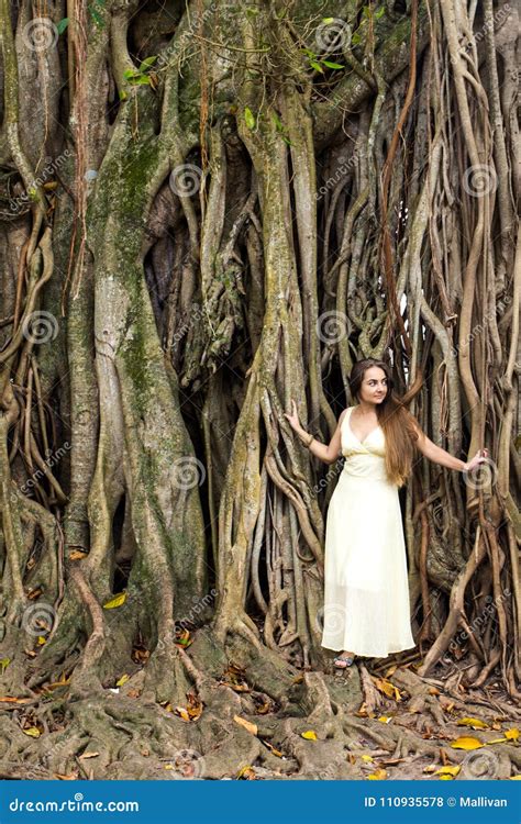 Woman Near A Banyan Tree Stock Photo Image Of India