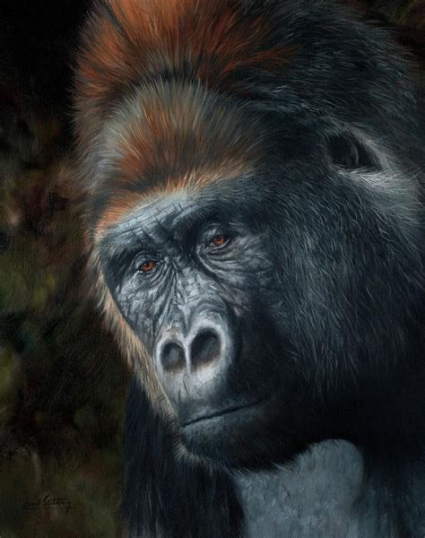 Lowland Gorilla Painting Painting By David Stribbling