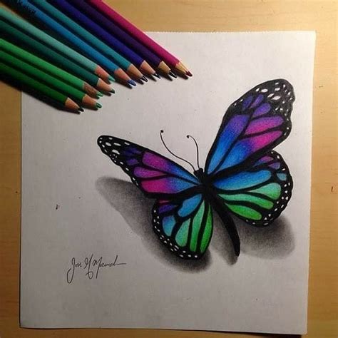 Dibujo De Una Mariposa Butterfly Drawing Butterfly Painting Art