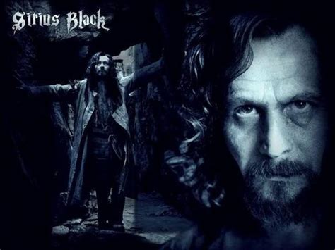 Sirius Black Images Sirius Black Hd Wallpaper And Background Photos
