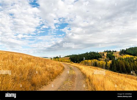 Near Merritt Hi Res Stock Photography And Images Alamy