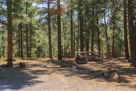 Lakeview Campground Rrm Clm Services