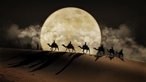 Desert Moon Camel Art Desktop Wallpaper Hd For Mobile