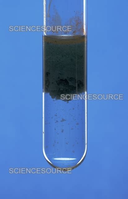 Iron Ii Hydroxide Precipitate Stock Image Science Source Images