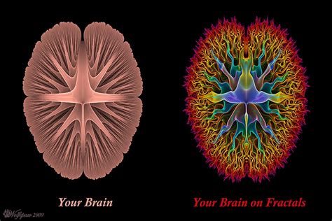 Your Brain On Fractals By Wolfepaw Redbubble