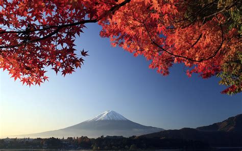 4k 5k 6k Autumn Mountains Sky Mount Fuji Japan Trees Clouds