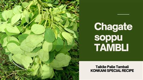 Chagate Soppu Tambli Tora Leaves Taikilo Tambli Youtube