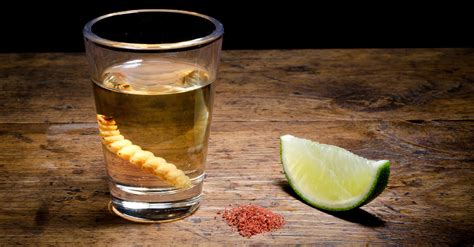 The sign of a quality tequila The Real Story Behind The Tequila Worm | VinePair