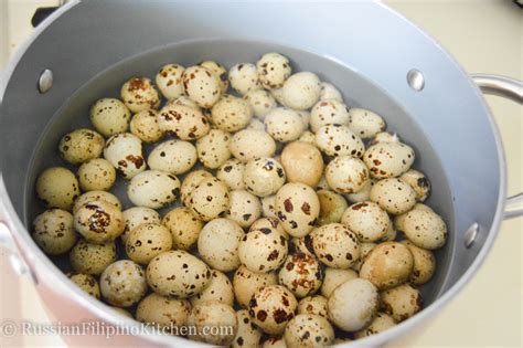 Homemade Pickled Quail Eggs Russian Filipino Kitchen