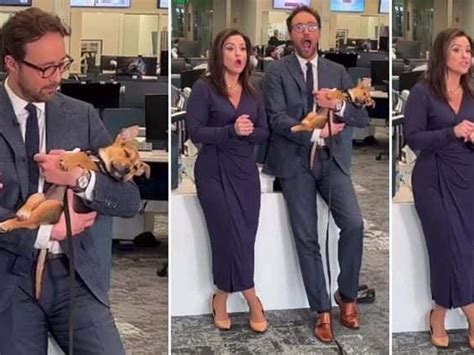 Puppy Falls Asleep In News Anchors Arms During Broadcast And Gets