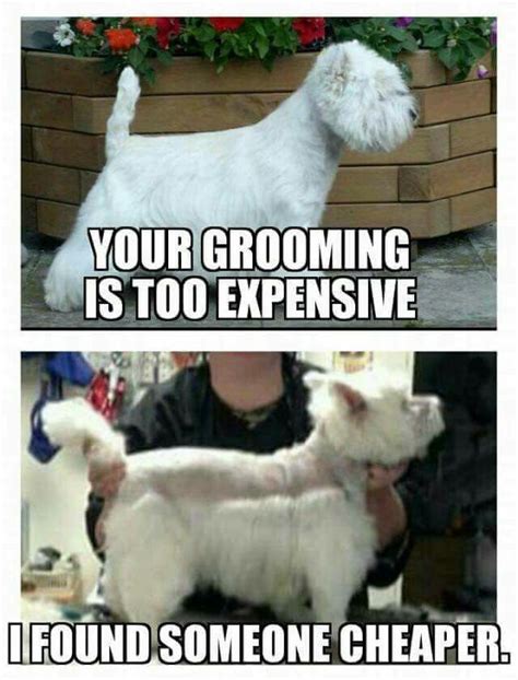 Our groomers in the salon do their best to make your visit with us as customized and professional as possible. 164 best Groomer Humor images on Pinterest | So funny ...