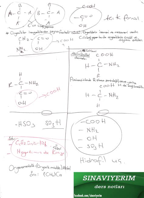Özel Ders Kimya Hayatımızda Kimya Ders Notları