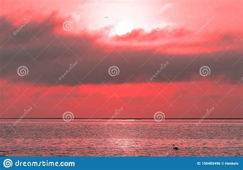 Sunrise Over The Sea And Beautiful Cloudscape Stock Photo Image Of