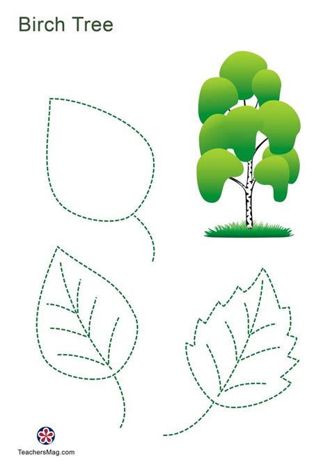 Printable Tree Leaves Tracing Activity Sheets For Kids 2