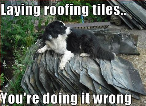 Just For Fun Roofing Humor Van Martin Roofing