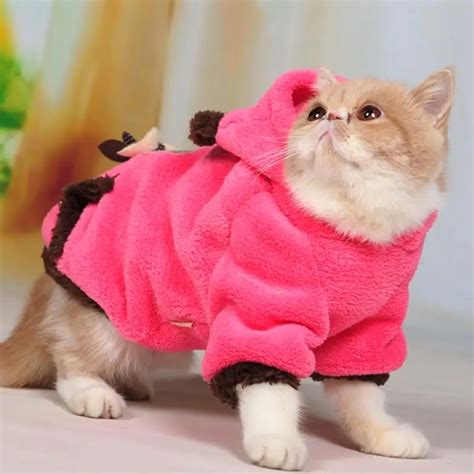 Купить кошка поставляет кошки одежда Китти теплая зима одежду животное
