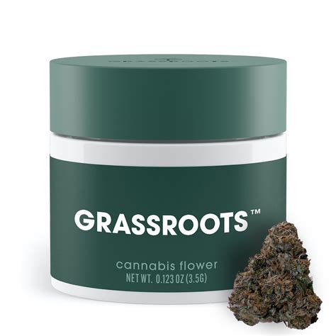 Blue Breath Mints - Whole Flower