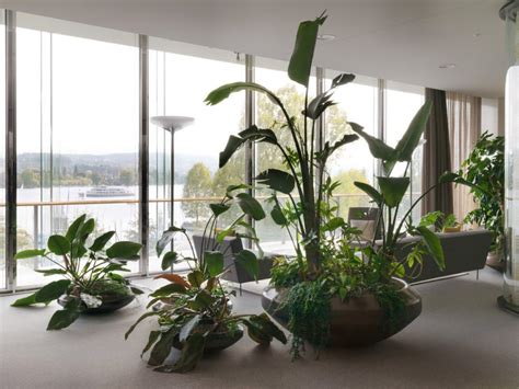Interior Plant Design With Continent Specific Vegetation Eilo
