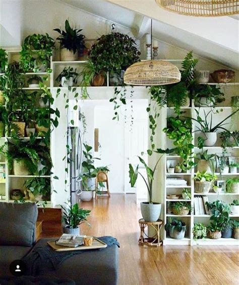 Indoor Jungle Small Spaces Gardening Idées Pour Aménager Son Balcon