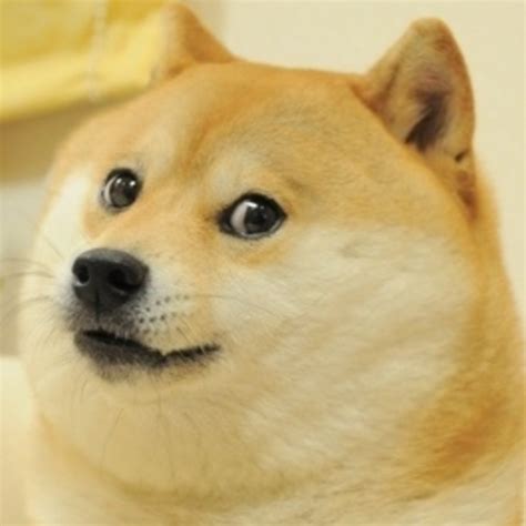 The Original Doge Doge Know Your Meme
