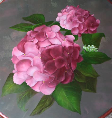 We did not find results for: pink hydrangeas | Pink hydrangea, Flowers, Hydrangea
