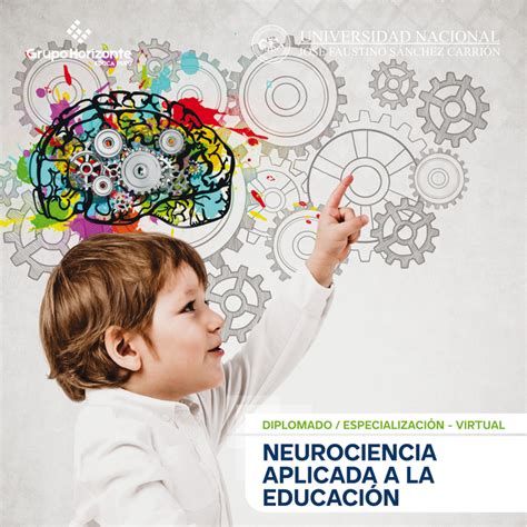 Neurociencia Aplicada A La Educación Grupo Horizonte Educa Perú