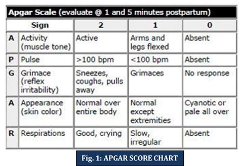 Apgar Test Chart