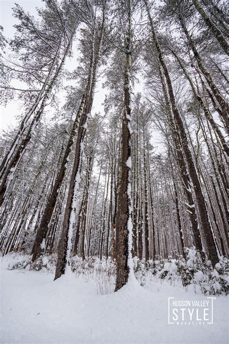 5 Best Restaurants to Try at Newburgh Waterfront: Mouthwatering Options