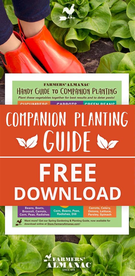 Farmers Almanac Planting Guide Zone 5 Yoiki Guide