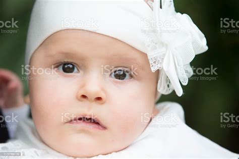 Portrait Of A Six Month Old Girl Stock Photo Download Image Now