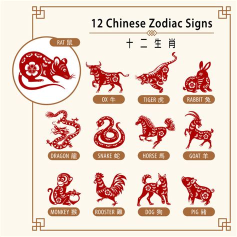 In chinese horoscopes, the birth year column is connected to people's early life. 2020 Chinese horoscope: Your 12 animals forecast for the ...