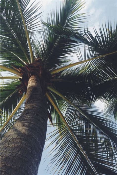Collection by m • last updated 10 days ago. Pin on travel