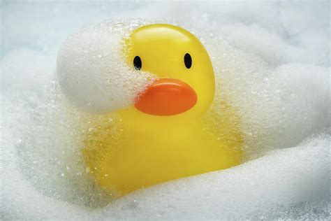 Rubber Duckie Bathtime Photograph By Steve Gadomski Pixels