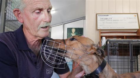 New Greyhound Racing Precinct Proposed For Tweed Coast Reignites Fierce