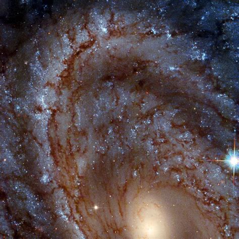 Hubble Snaps A Stunning Close Up Of A Magnificent Spiral Galaxy