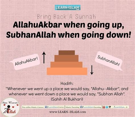 Al Bukhari Narrated In His Saheeh That Jabir Ibn ‘abd Allah May Allah