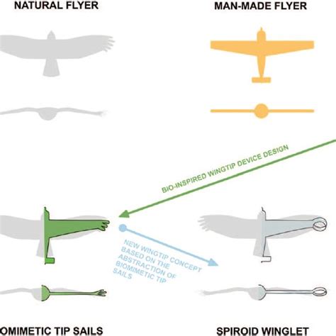 Who Invented Aircraft Winglets The Best And Latest Aircraft 2019