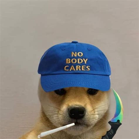 Pin By On Perro Con Gorro In 2020 Dog Icon Dog Hat Dog Memes