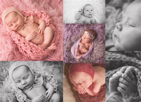 Portland Newborn Photographers Sarah Costa Newborn Photographer In