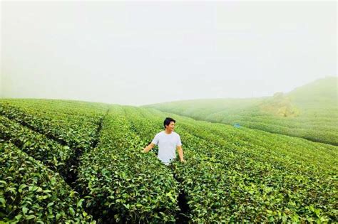 Include (or exclude) self posts. 跟著茶旅行 到嘉義找茶趣-風傳媒
