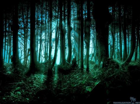 Dark Nature Wallpapers Top Free Dark Nature Backgrounds Wallpaperaccess